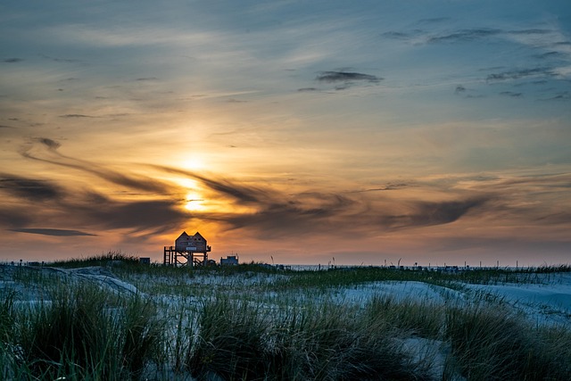 Free Sand Dunes North photo and picture