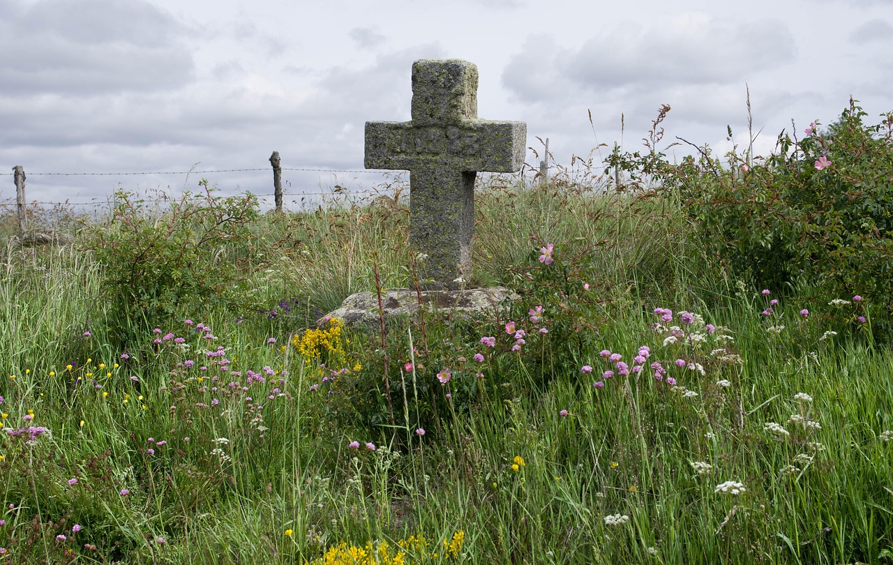 10,000+ Free Cross Of Calvary & Cross Images - Pixabay