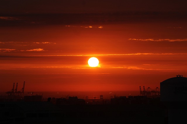 Free Sun Summer photo and picture