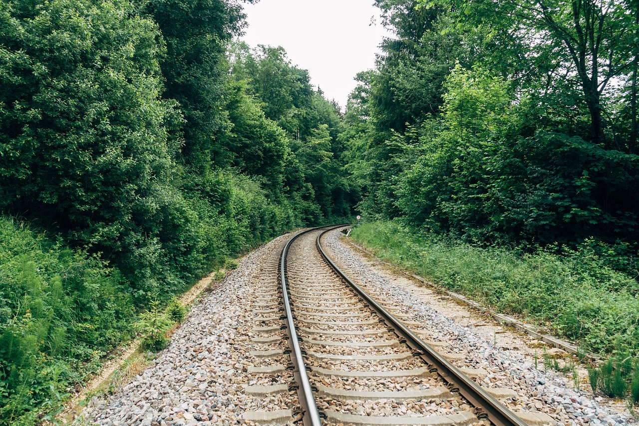 Track - free online jigsaw puzzle photo