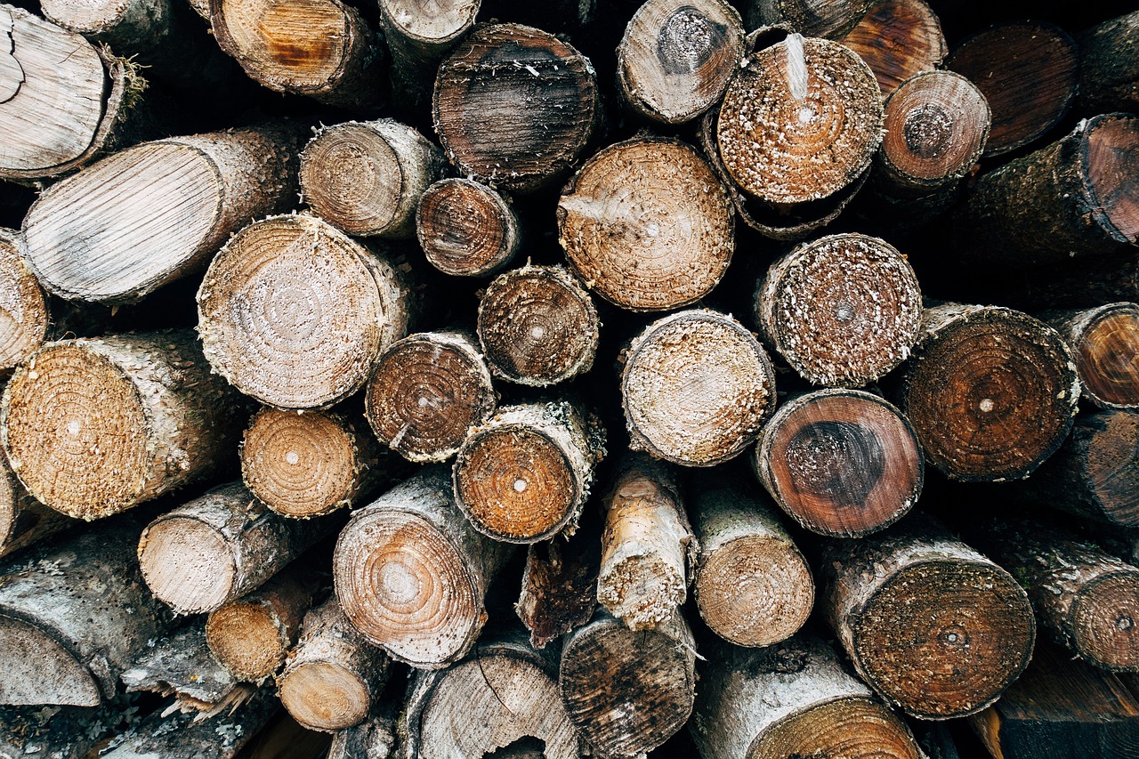 Download free HD stock image of Wood Fire Free Wood Fire photo and picture