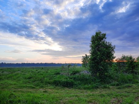 Atardecer, Aldea, Cielo, Árboles