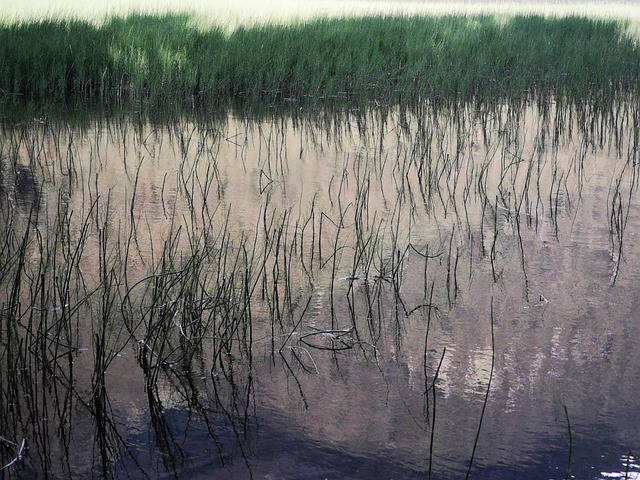Free Water Lake photo and picture