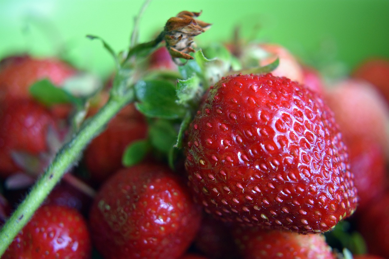 Morangos Morango Fruta - Foto gratuita no Pixabay - Pixabay