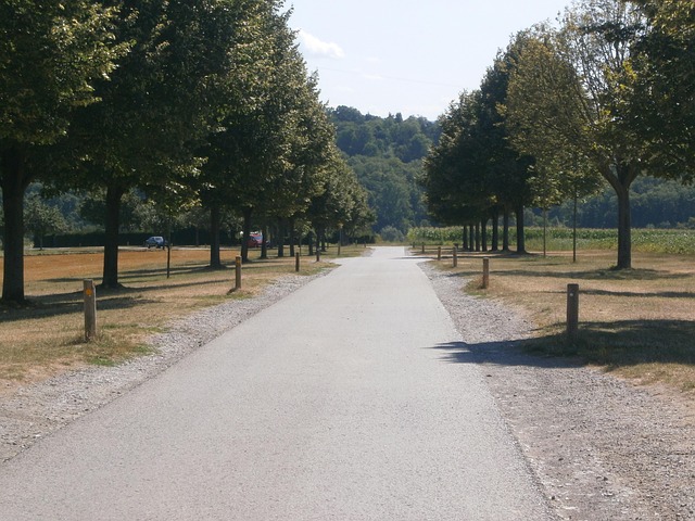 Allé, Vej, Sonnenhof, Stuttgart