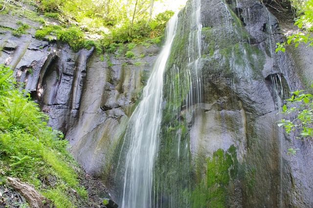 Free Waterfall Nature photo and picture