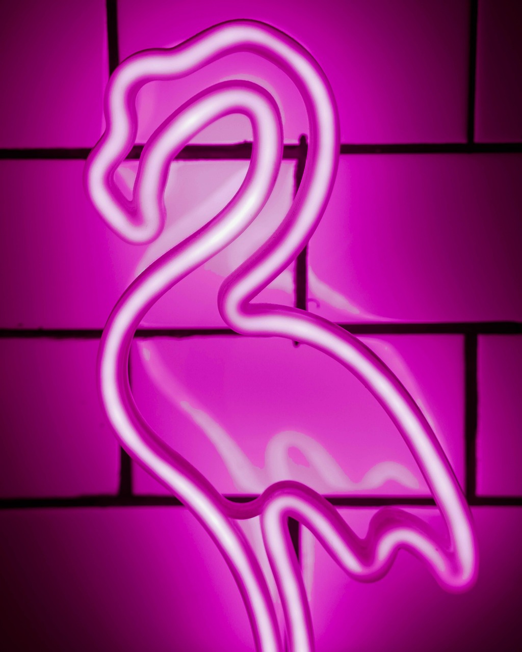 Bar Club Nightlife Free Photo On Pixabay Pixabay