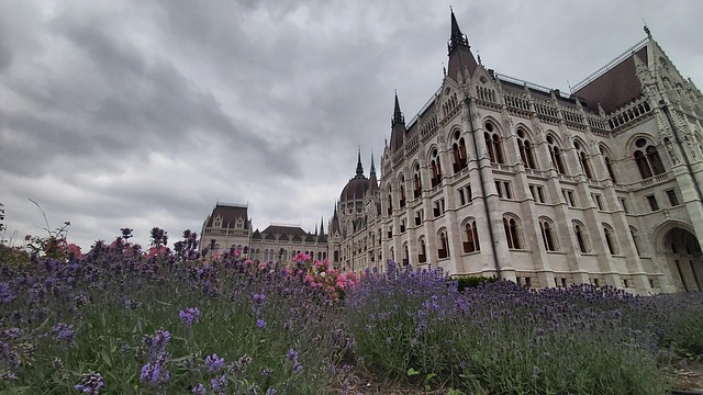Hungria, Parlamento, Jardim, Flor, Roxo