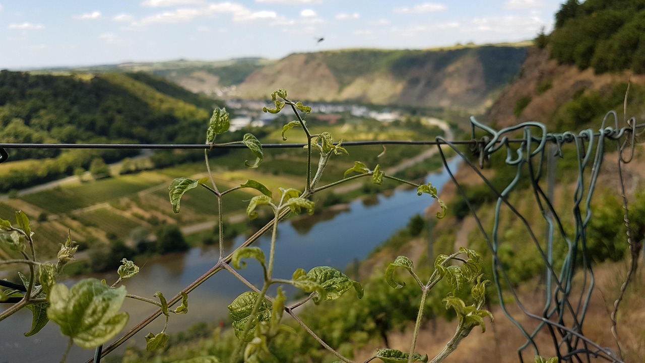 Download free HD stock image of Nature Landscape Free Nature Landscape photo and picture