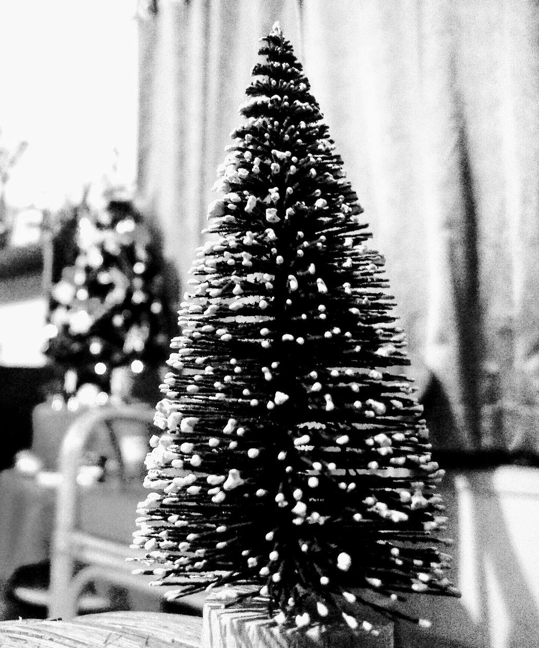 Christmas Tree Snow Covered Free photo on Pixabay Pixabay