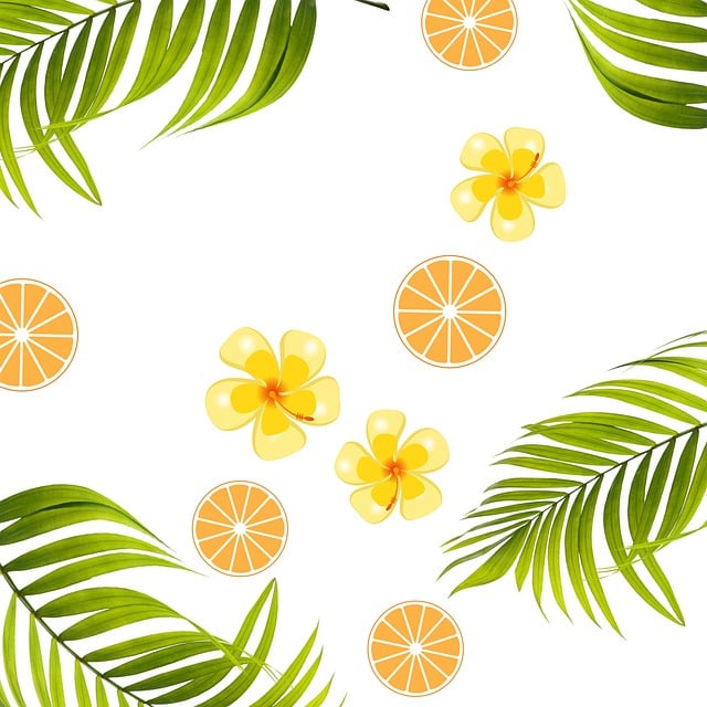 Hintergrund, Tropisch, Hibiskus