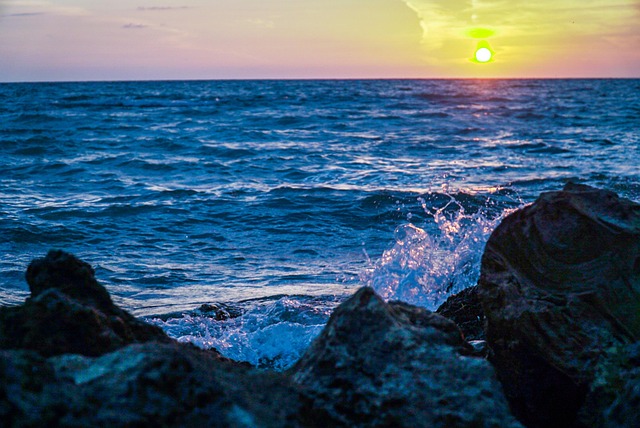 Free Beach Waves photo and picture