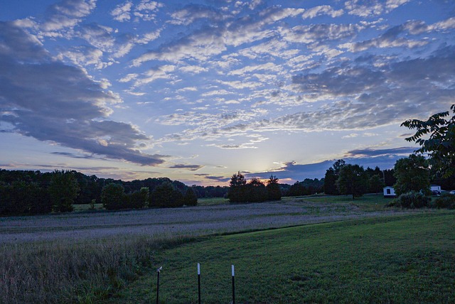 Free Sunset Field photo and picture