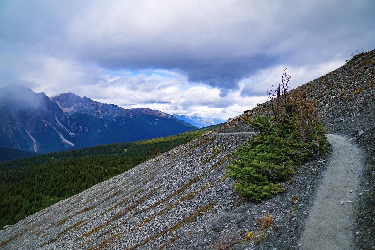 Alpine Path Mountain Free photo on Pixabay Pixabay