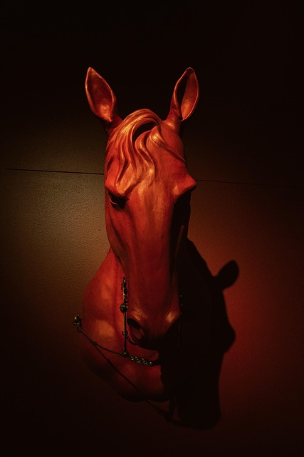 Free Caballo Cabeza photo and picture