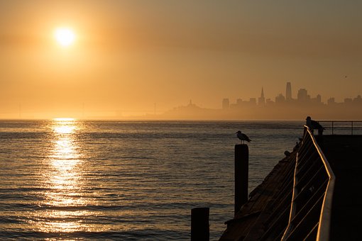 San Francisco, Horisont, Natur, By