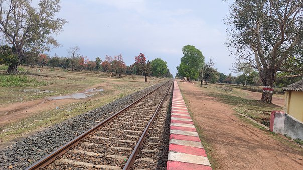 Free Railway Track Forest illustration and picture