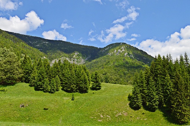Free Mountain Romania photo and picture