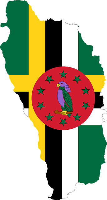 Free dominica flag map vector