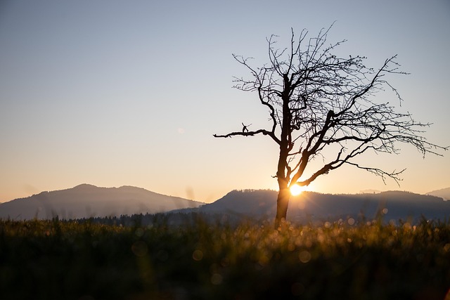 Free Sunrise Heaven photo and picture