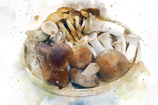 Champignon, Mad, Akvarel, Maleri