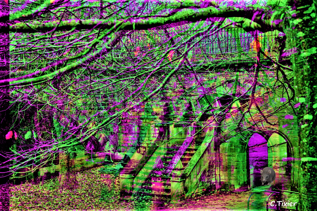 Download free HD stock image of Edinburgh Psychedelic Free edinburgh psychedelic 3d illustration