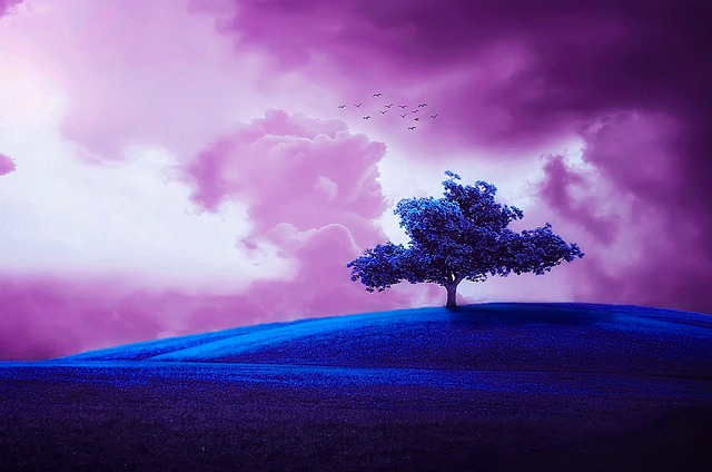 Tree Nature Blue Color - Free image on Pixabay
