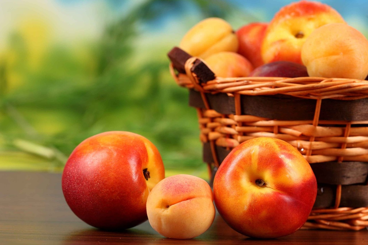 Plus Régime Alimentaire Photo gratuite sur Pixabay Pixabay