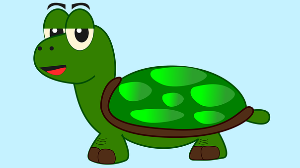 Tortuga, Feliz, Sonrisa, Verde, Alegre