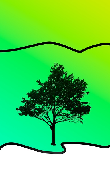 Free Arbol Fondo photo and picture