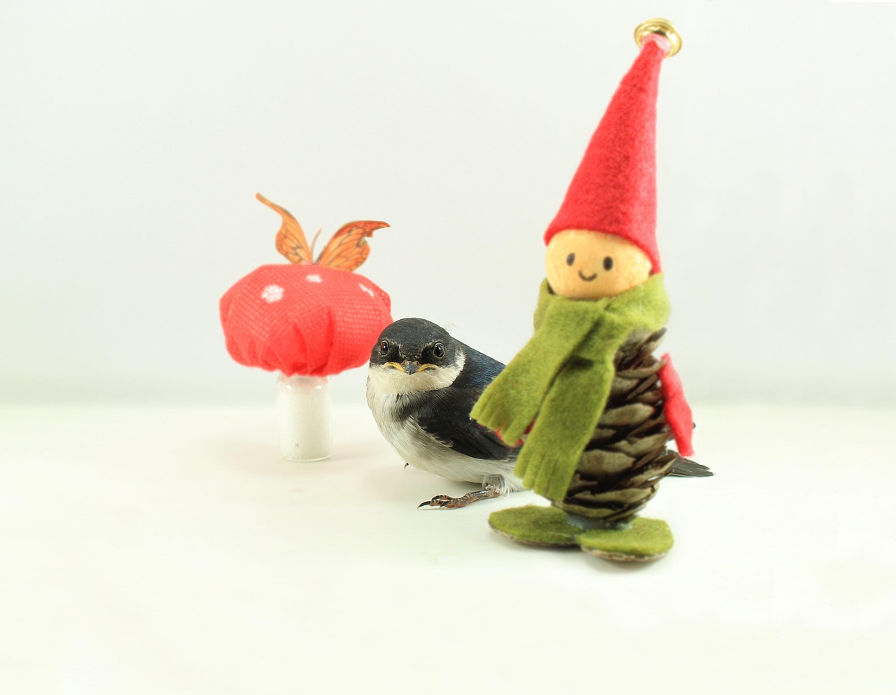 Bird Elf Fungus - Free photo on Pixabay