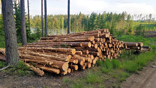 Logs Stak, Log, Træ, Træstammer