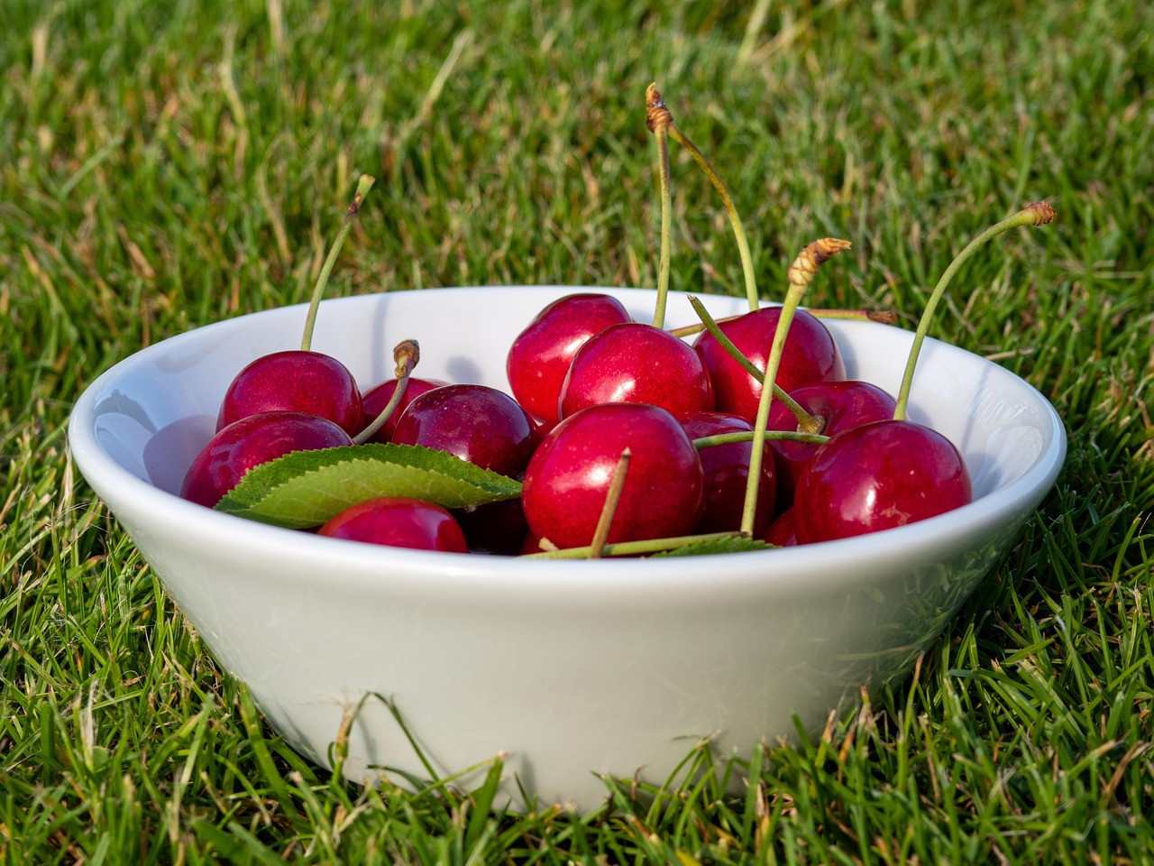 Cherry - free online jigsaw puzzle photo