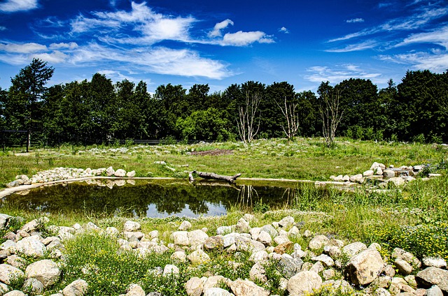 Free Nature Rocks photo and picture
