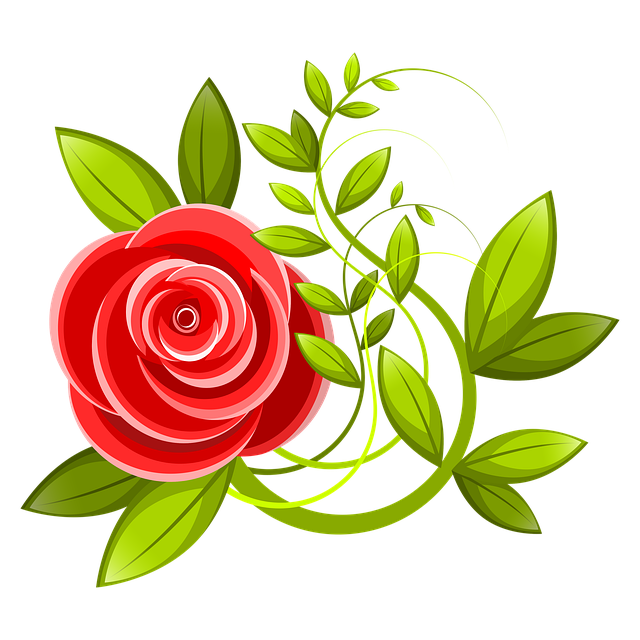 Illustration, Blumen, Rose, Blätter