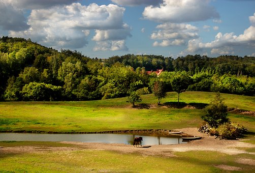 Polen, Sommer, Kaschubei, Landschaft