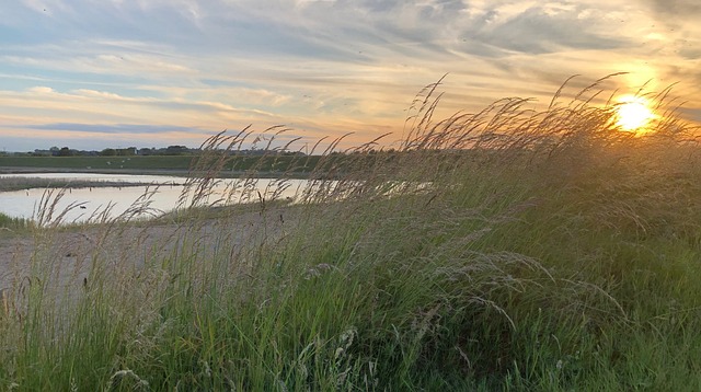 Free Sunset Sky photo and picture