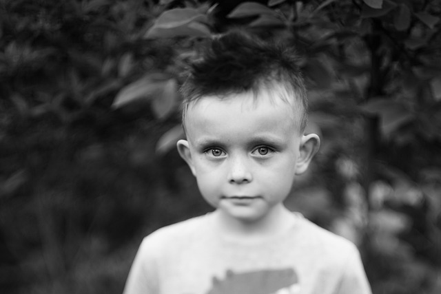 Jongen, Gezicht, Kind, Zoon, Portret