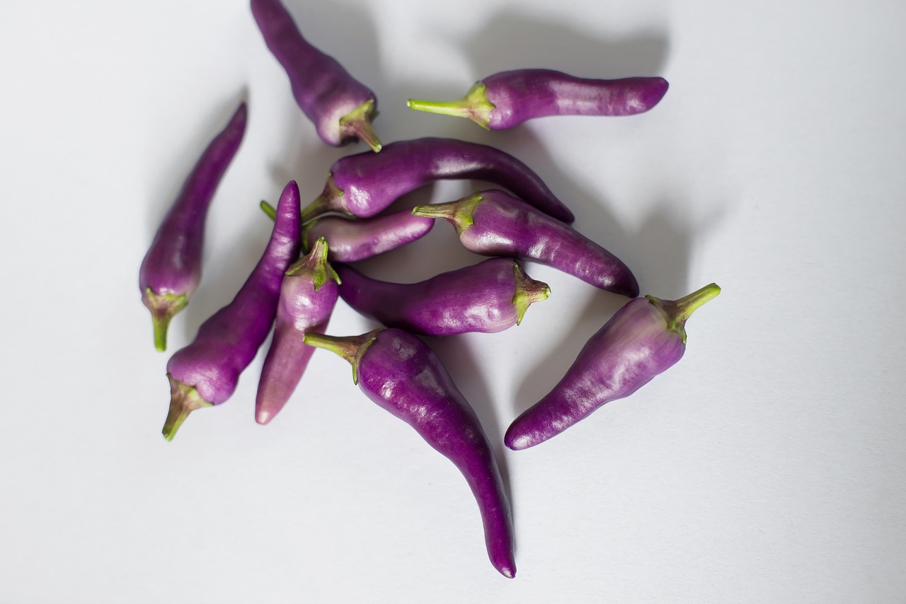 Capsaicin Cayenne Chili Photo gratuite sur Pixabay Pixabay