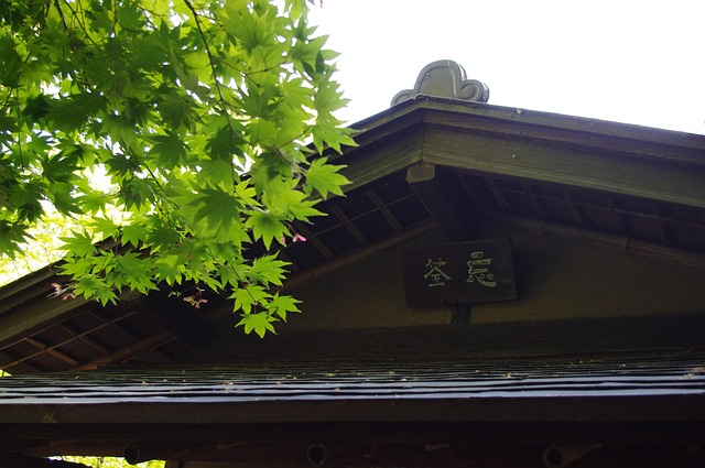 Free Tea House Tea Room photo and picture