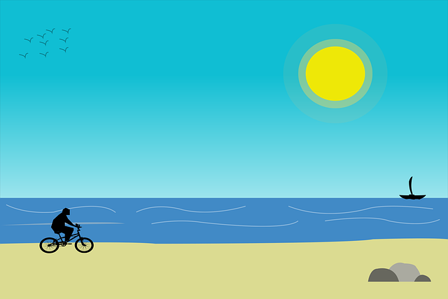 Free beach bicycle sun vector