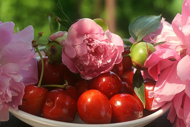 Cherry Ripe Red Peonies Pink - Free photo on Pixabay - Pixabay