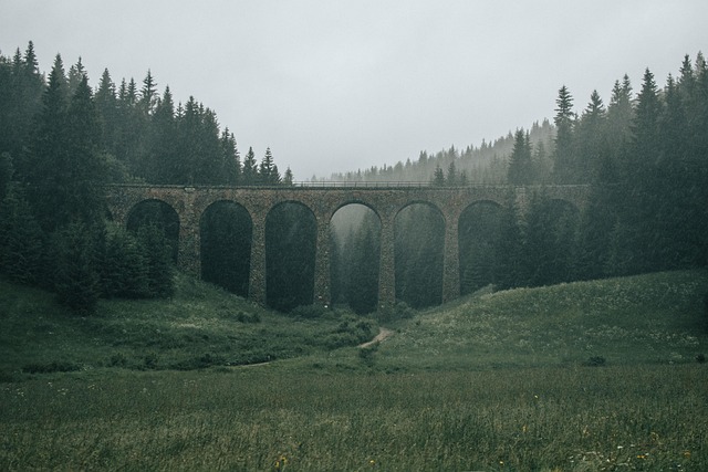 Free Bridge Telgárt photo and picture