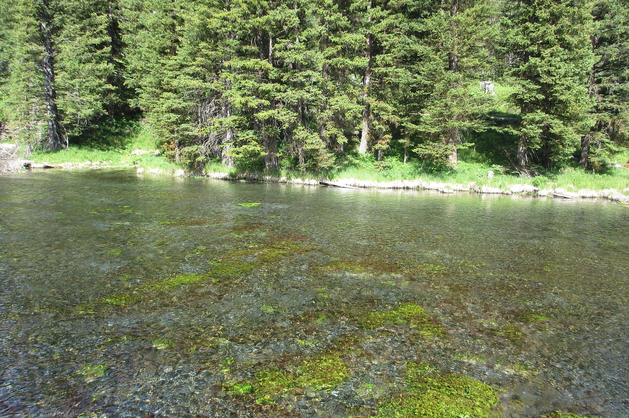 Big Springs Spring Water Free photo on Pixabay Pixabay