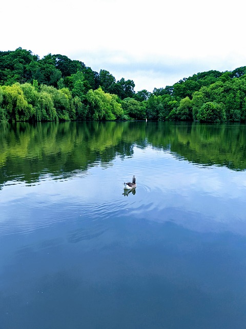 Free Lake Body Of Water photo and picture