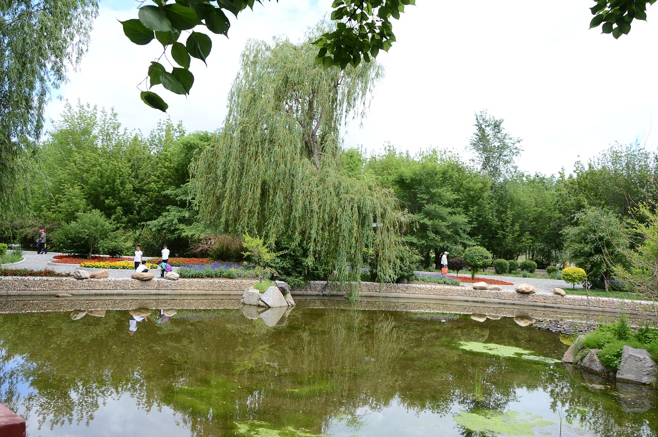 Park Hu - Kostenloses Foto auf Pixabay - Pixabay