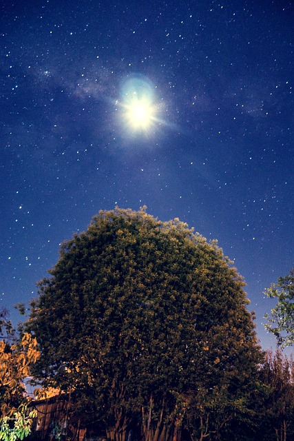 Nacht, Himmel, Galaxis, Stern, Universum