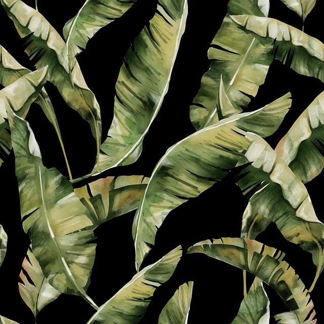 Download free HD stock image of Sheets Tropical Free sheets tropical nature illustration