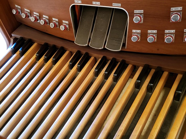 Free Organ Pedals photo and picture