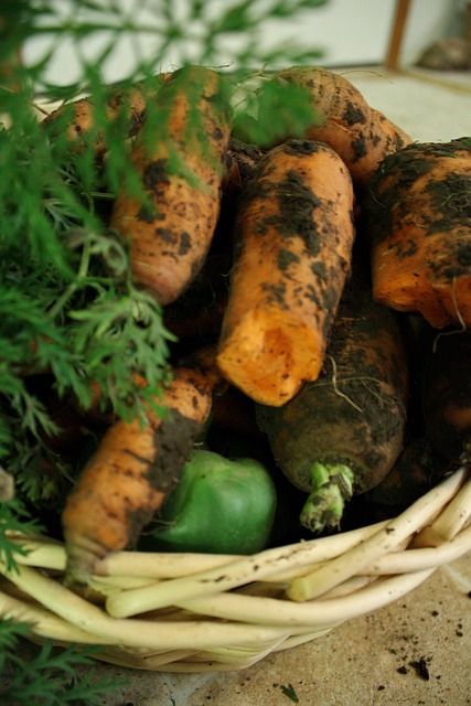 Free Carrots Vegetables photo and picture